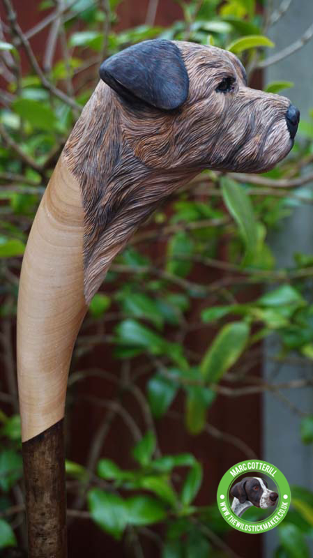 Animal & Plant Theme Walking Sticks